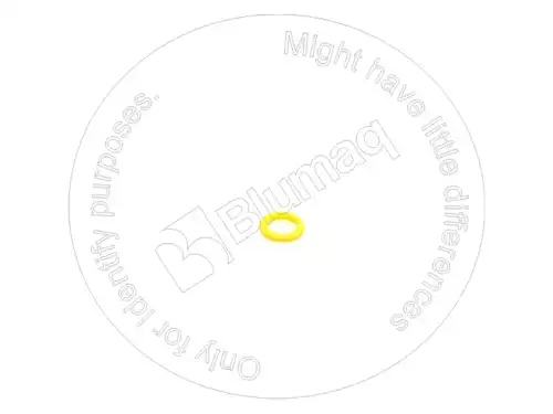 УПЛОТНИТЕЛЬНОЕ КОЛЬЦО для САТ 1S0004 BLUMAQ