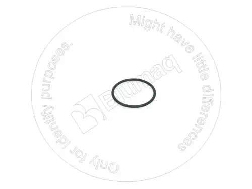 7F8268 УПЛОТНИТЕЛЬНОЕ КОЛЬЦО BLUMAQ