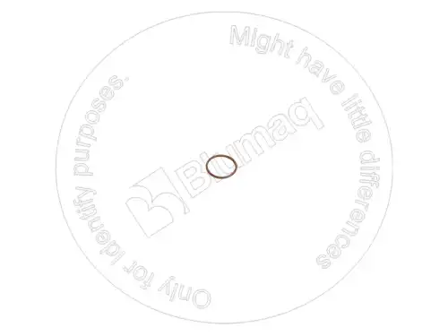 УПЛОТНИТЕЛЬНОЕ КОЛЬЦО для САТ 6V4367 BLUMAQ