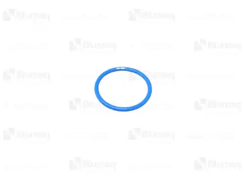 УПЛОТНИТЕЛЬНОЕ КОЛЬЦО для САТ 3464897 BLUMAQ