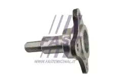 Осевая цапфа, балка моста FT23200 FAST