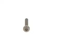 болт! рассеивателя Torx\ F 00N 202 194 BOSCH