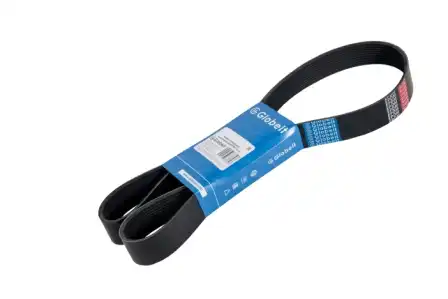 GLOBELT 10PK1643TRUCK