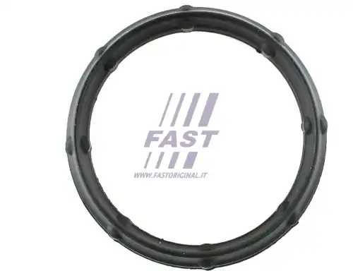 Прокладка коллектора FAST FT49424