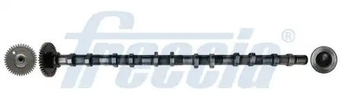 Распредвал FRECCIA CM05-2355