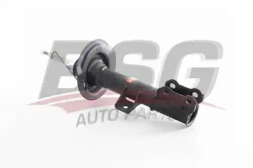 Амортизатор BSG 40-300-073 BSG