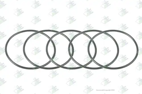 Кольцо O-RING 74171335 EURORICAMBI