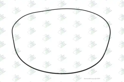 O-RING 277X2.5 \ 95170071 EURORICAMBI