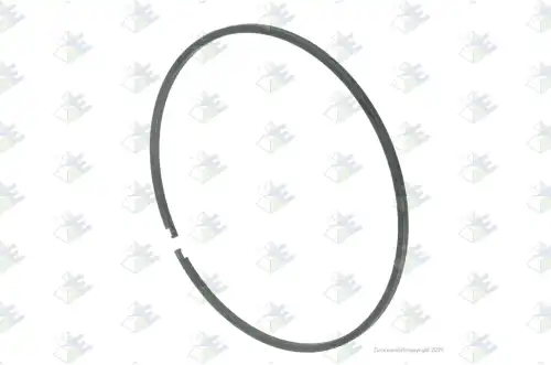 RING 95X100X2.2 MM \ 95536394 EURORICAMBI