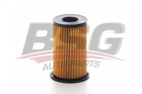 Фильтр масляный BSG BSG 15-140-010