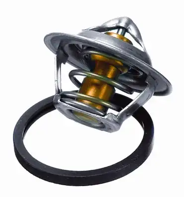 Термостат системы охлаждения BORG WARNER 301787D2