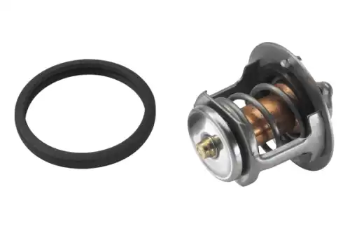 Термостат системы охлаждения BORG WARNER 347882D