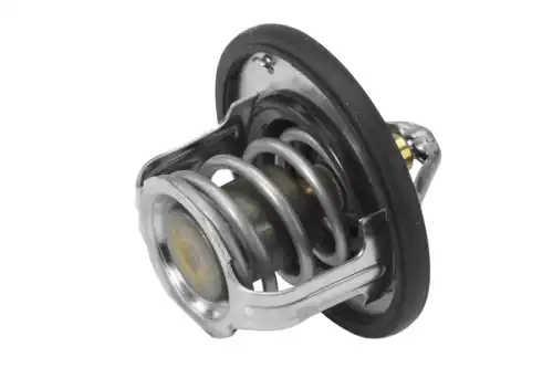 Термостат системы охлаждения BORG WARNER 41022982D