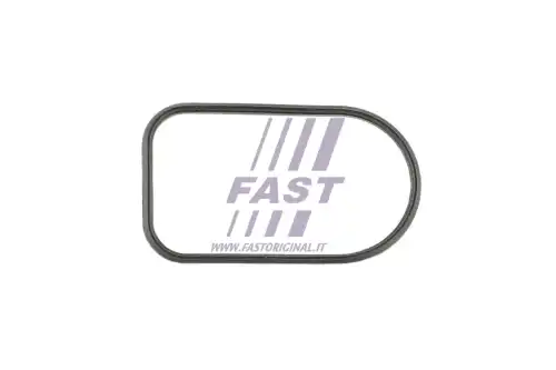 Прокладка коллектора FAST FT49425