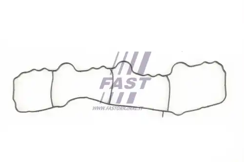 Прокладка коллектора FAST FT49430