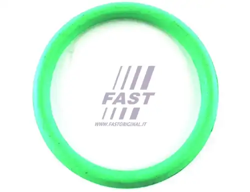 FAST FT49434