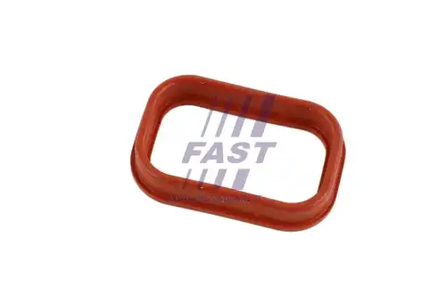 Прокладка коллектора FAST FT49435