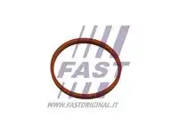 FT48932 ПРОКЛАДКА УПЛОТНИТЕЛЬ РЕЗИНОВЫЙ FAST