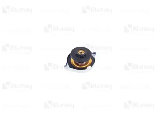 Крышка радиатора BLUMAQ 2943342