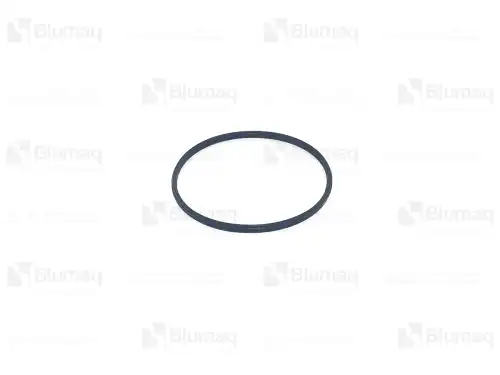 1662340 УПЛОТНЕНИЕ BLUMAQ