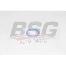 BSG BSG 30-116-034