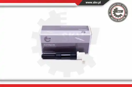 Катушка зажигания SKV 03SKV286