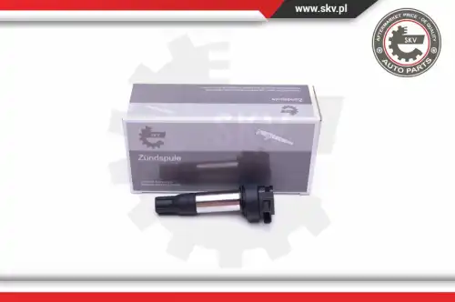 Катушка зажигания SKV 03SKV293