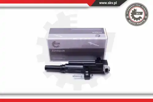 Катушка зажигания SKV 03SKV320