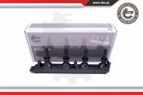 Катушка зажигания SKV 03SKV335