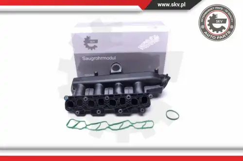 Модуль впускной трубы 49SKV038 SKV