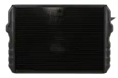 Радиатор системы охлаждения двигателя THERMOTEC D7AG087TT