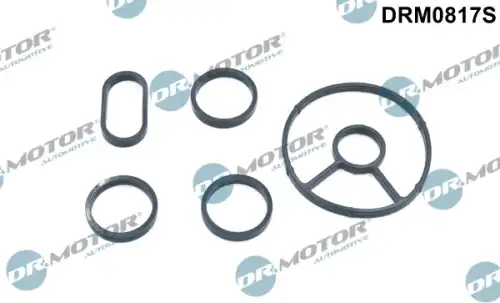 Комплект прокладок двигателя DR. MOTOR DRM0817S