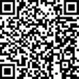 Амортизатор кабины TEMPLIN 09.070.7950.029