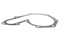помпа Ren V95-50009 VEMO