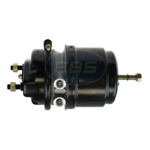 Энергоаккумулятор Type 24/24 9254810210 02062424021 EBS