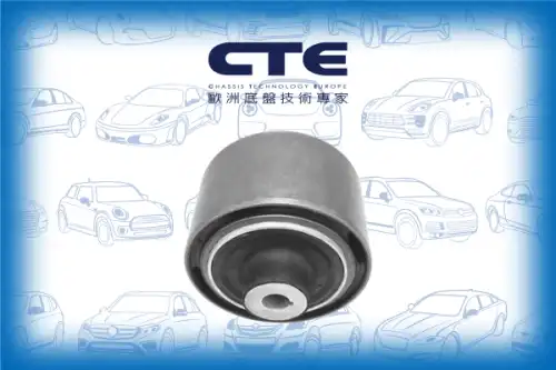 Рычаг подвески CTE CBH31022