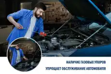 Амортизатор капота RIVAL A.ST.5403.1