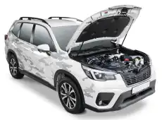 Амортизатор капота RIVAL A.ST.5403.1