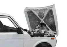Амортизатор капота RIVAL A.ST.6006.1