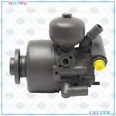 Насос гидроусилителя руля GELZER H5579PU