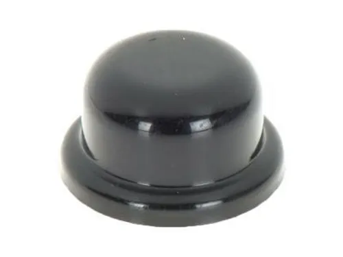 CAP,WSW ARM FIN 22699534 PONTIAC