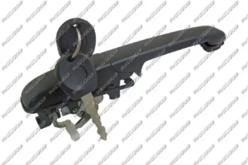 Ручка двери PRASCO VG0518001