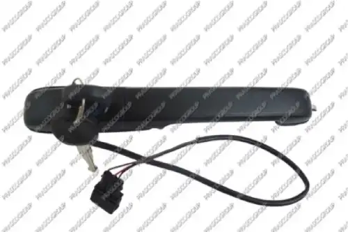 Ручка двери PRASCO VG0518041