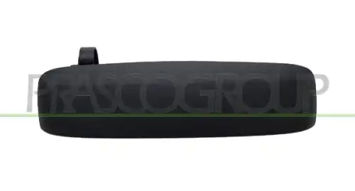 Ручка двери PRASCO FT1228201