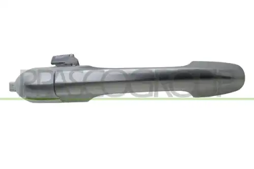 Ручка двери PRASCO AA3408005