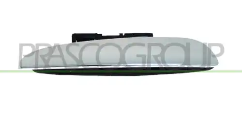 Ручка двери PRASCO FT5208006