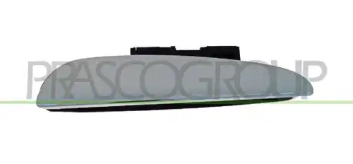 Ручка двери PRASCO FT5208105