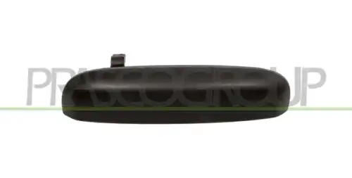 Ручка двери PRASCO FT1248204