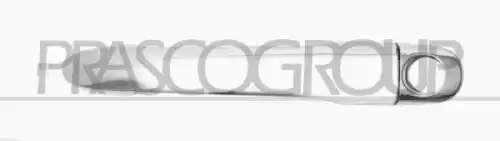 Ручка двери PRASCO FD0088005