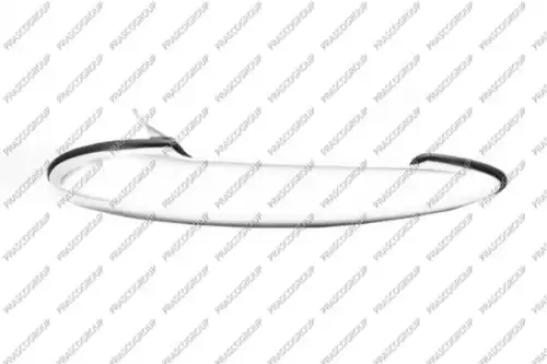 Ручка двери PRASCO 'MN3048005
